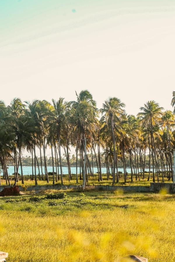 Casa Seriguela - Praia Do Patacho - Rota Ecologica Dos Milagres Pôrto de Pedras Eksteriør bilde