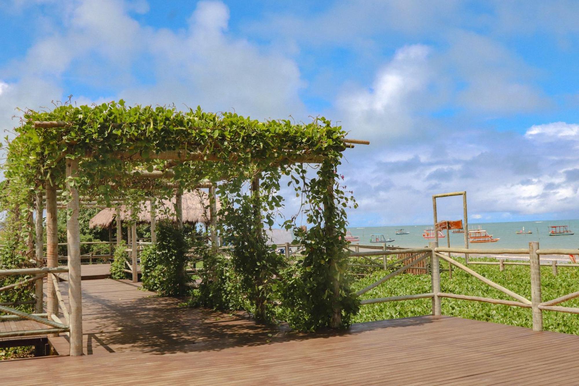 Casa Seriguela - Praia Do Patacho - Rota Ecologica Dos Milagres Pôrto de Pedras Eksteriør bilde